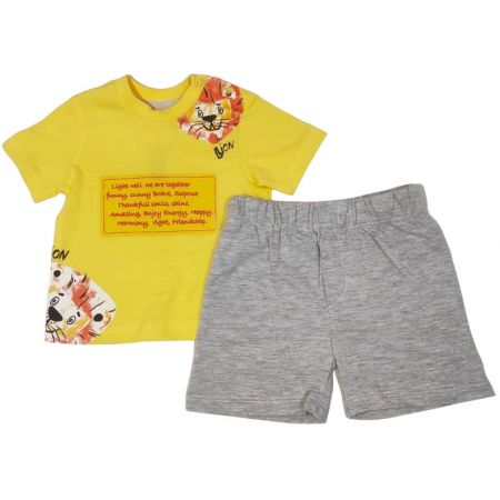 Комплект Lion